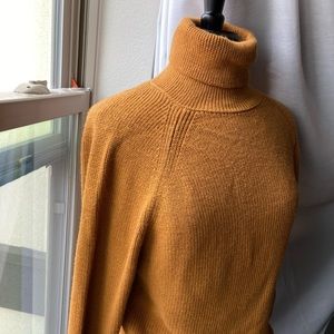 Turtleneck Sweater